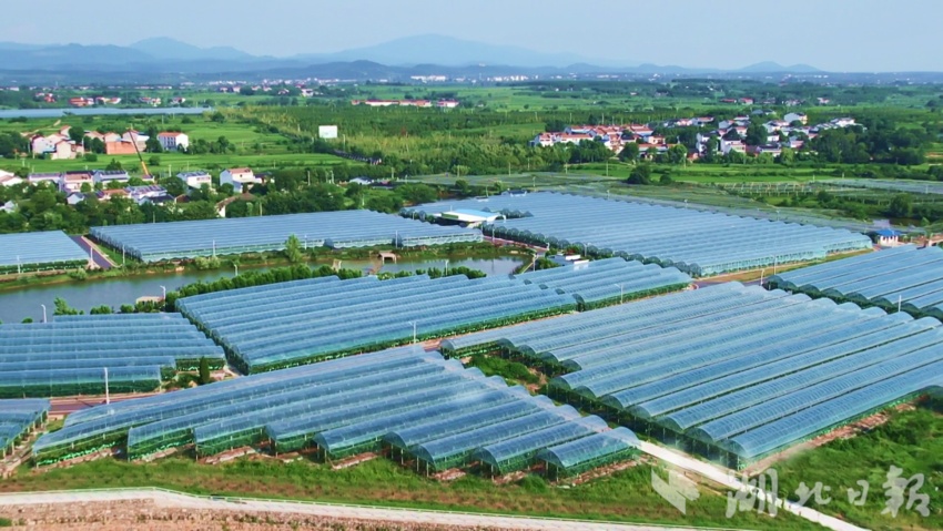 太阳游戏下载